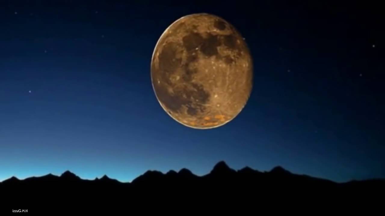 FRANCESCO DE GREGORI Buonanotte Fiorellino