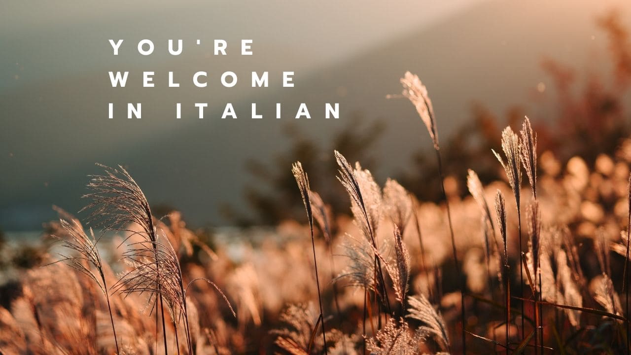 9 Useful Ways To Say Youre Welcome In Italian