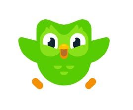 Duolingo review learn Italian