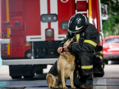 il primo cane pompiere