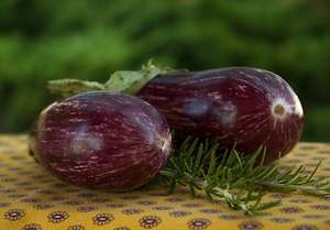 The Italian word for eggplant