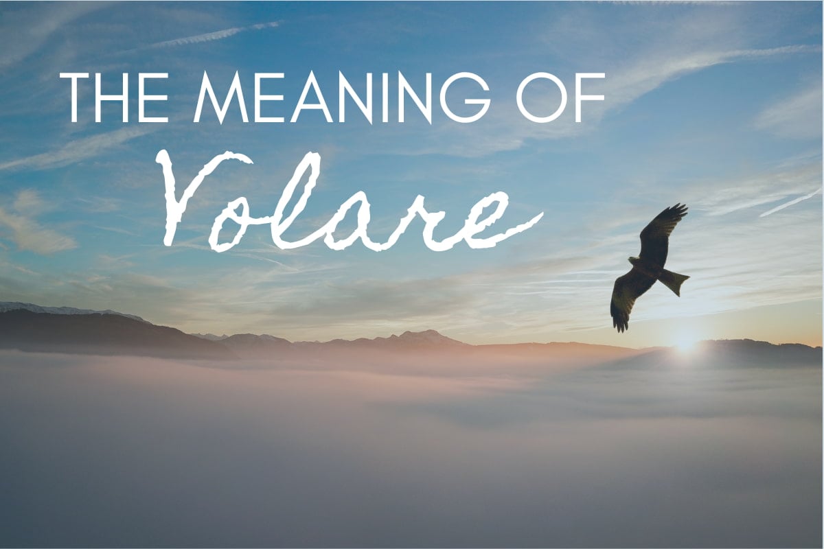 The meaning of volare