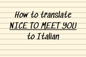 Translate nice to meet you to Italian