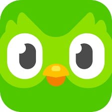 duolingo logo review italian