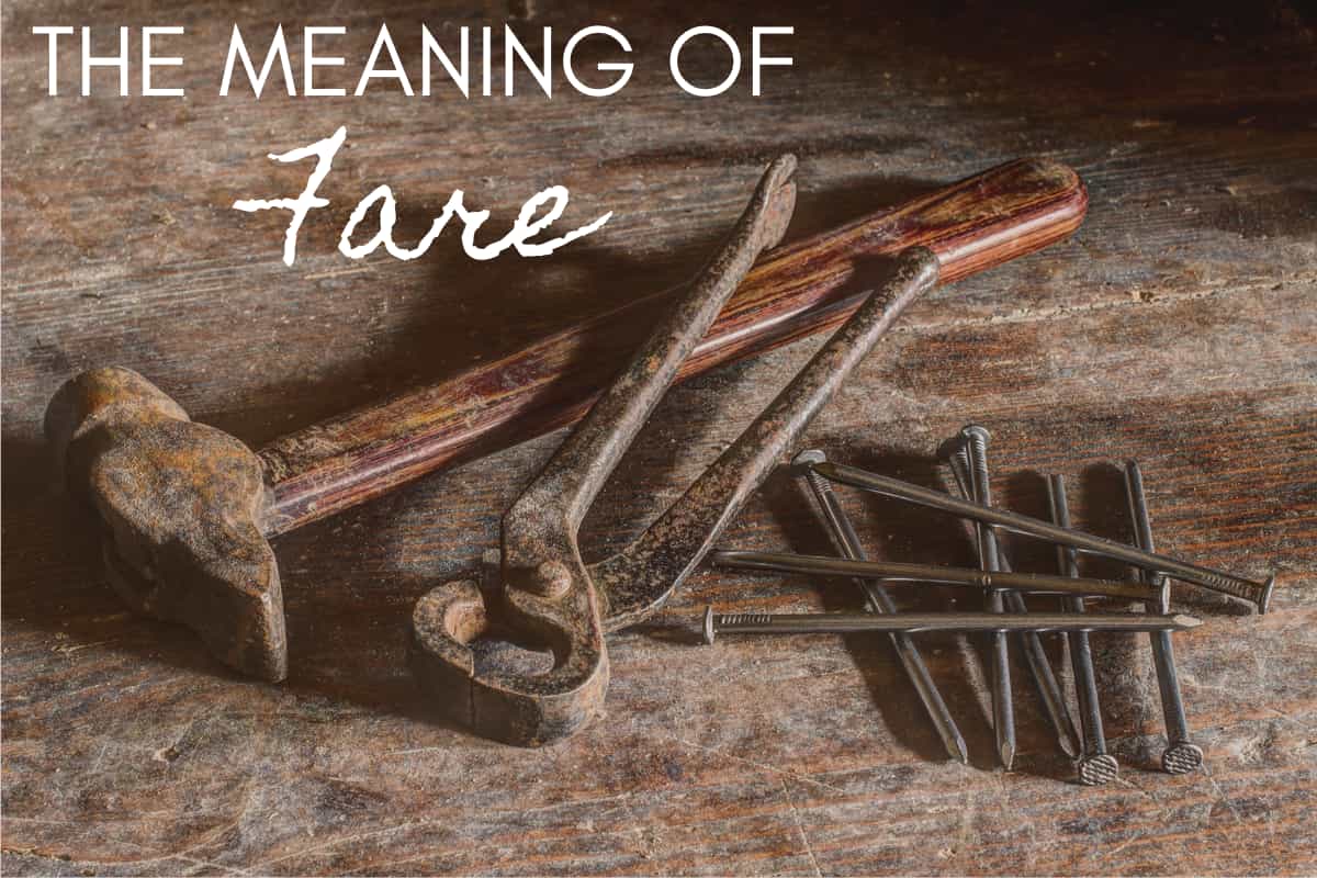 fare meaning