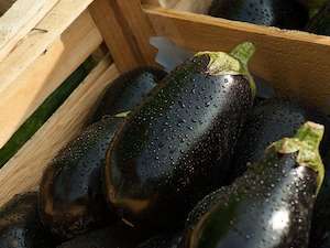 how to ask for an eggplant in Italian