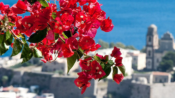 italian flowers crossword