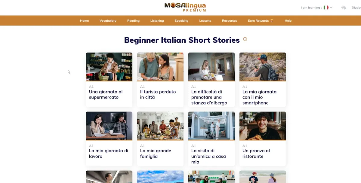 MosaLingua learning features