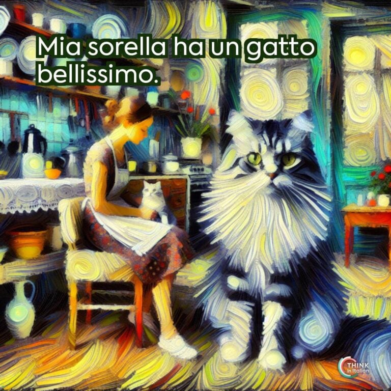 Mia sorella ha un gatto bellissimo.