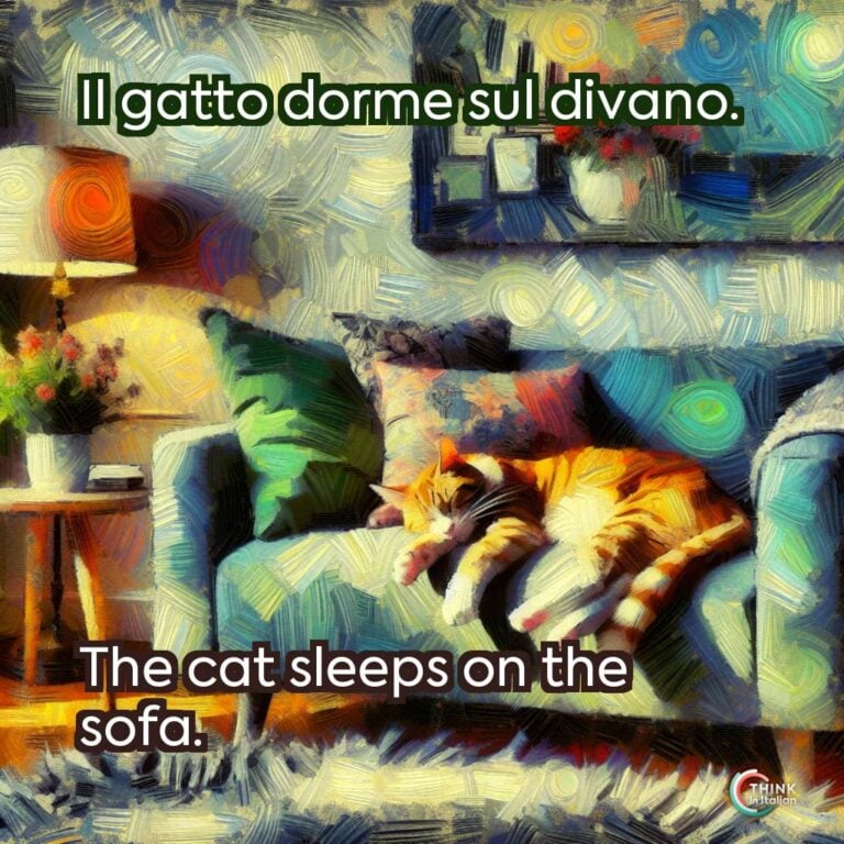Il gatto dorme sul divano.