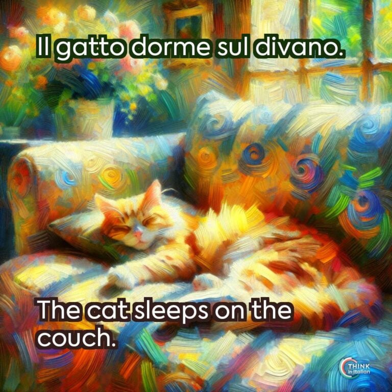 Il gatto dorme sul divano.