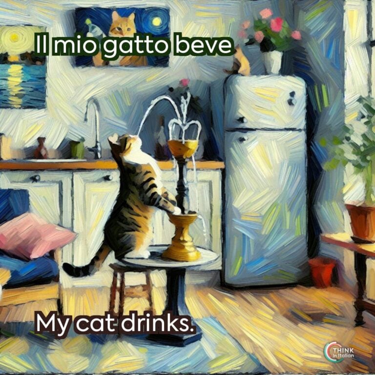 Il mio gatto beve