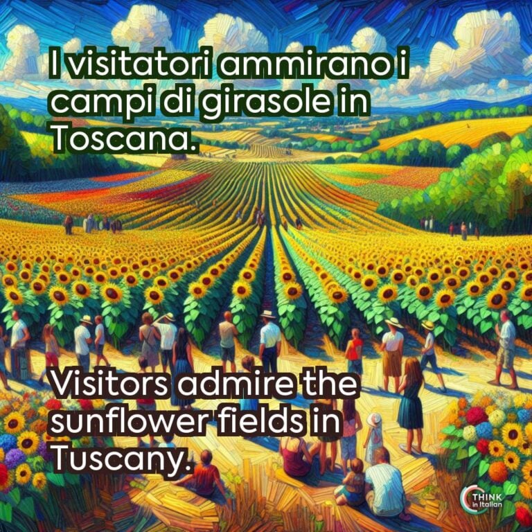 I visitatori ammirano i campi di girasole in Toscana.