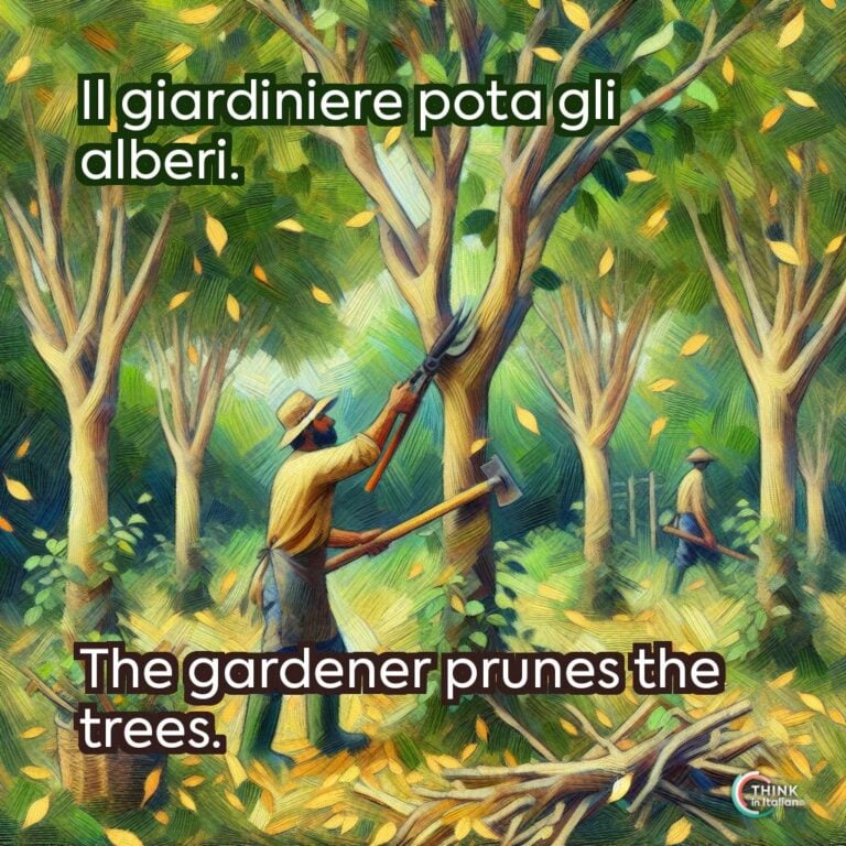 Il giardiniere pota gli alberi.