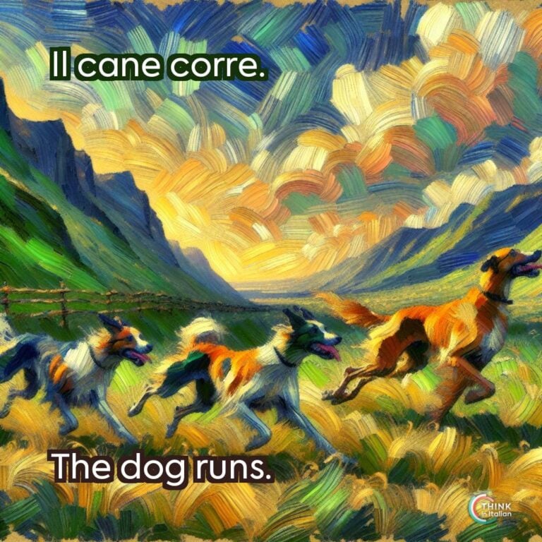 Il cane corre.