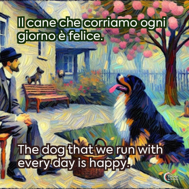 Il cane che corriamo ogni giorno è felice.