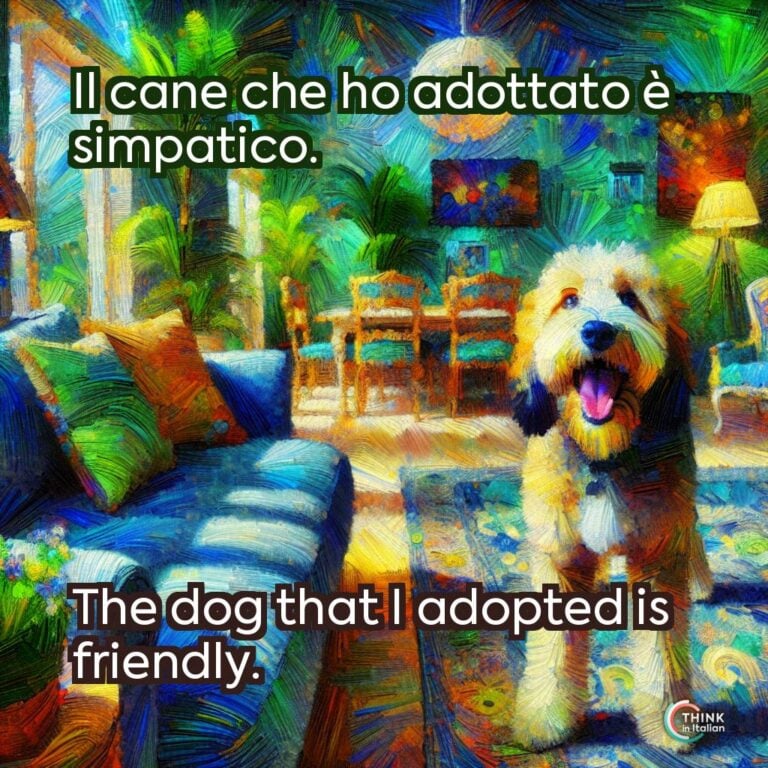 Il cane che ho adottato è simpatico.