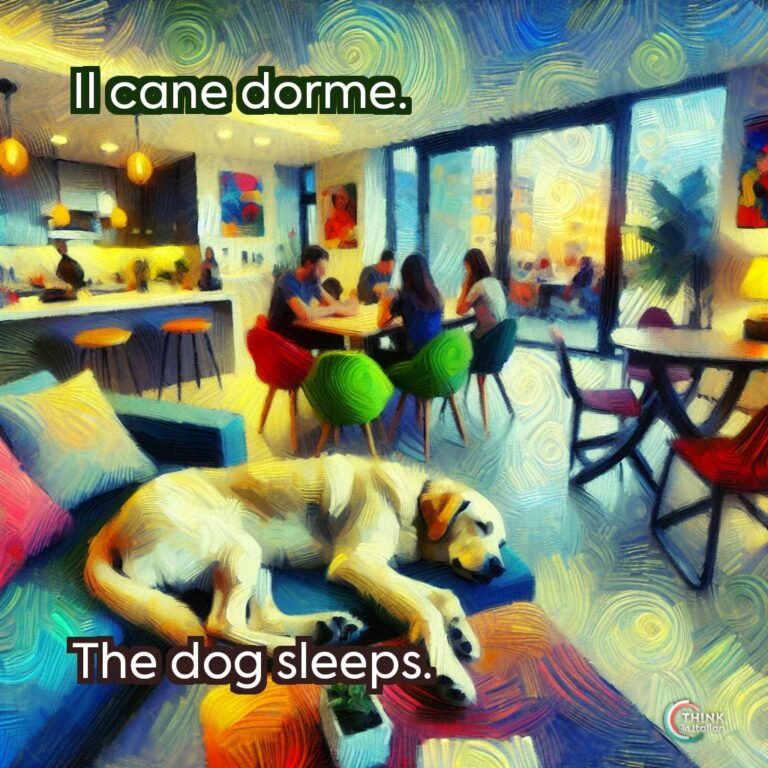 Il cane dorme.