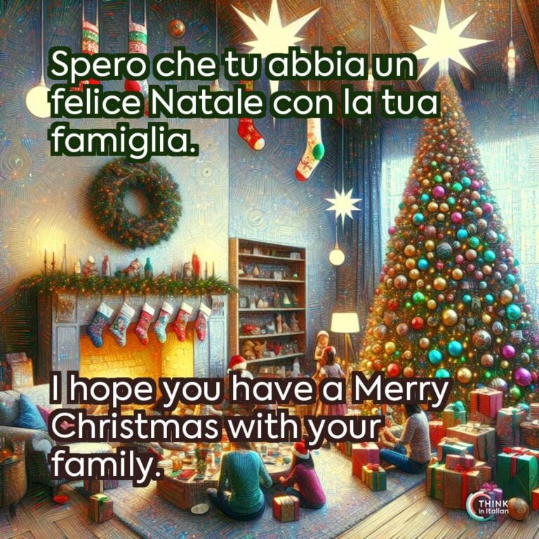 Spero che tu abbia un felice Natale con la tua famiglia.