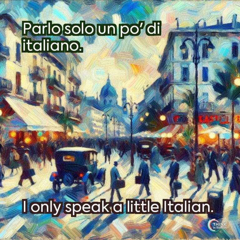 Parlo solo un po' di italiano.  