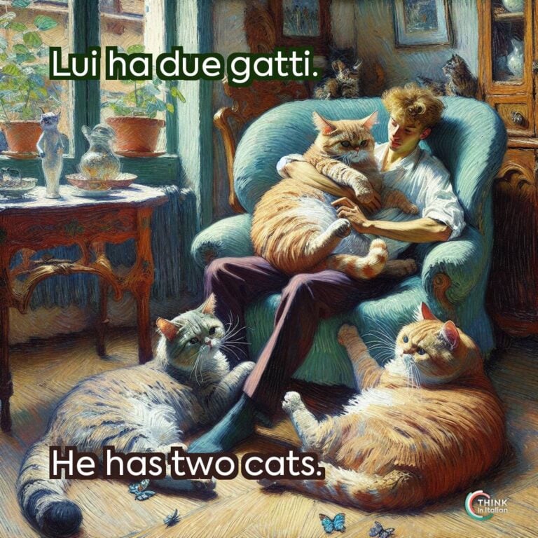 Lui ha due gatti.