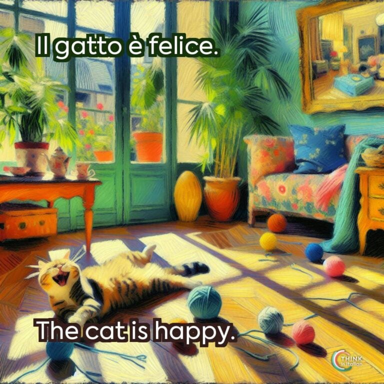 Il gatto è felice.