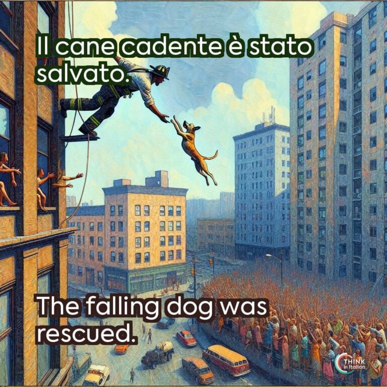 Il cane cadente è stato salvato.