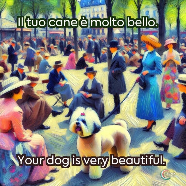 Il tuo cane è molto bello.