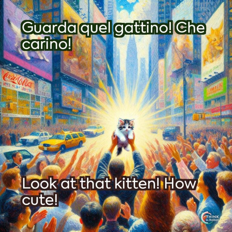 Guarda quel gattino! Che carino!