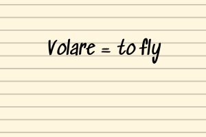 volare translates as to fly in Italian